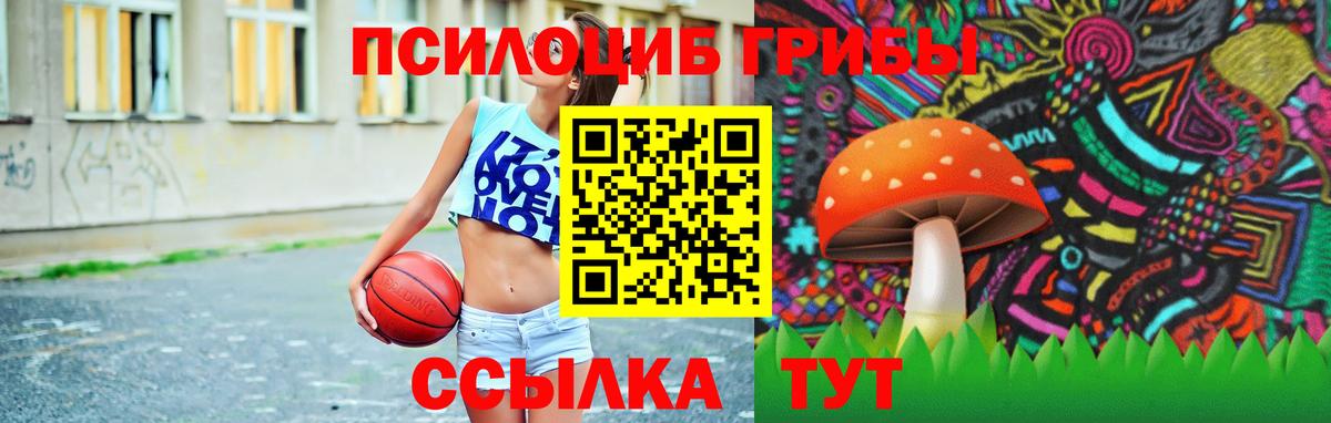 Псилоцибиновые грибы Psilocybe  Галлюциногенные грибы Psilocybe  Рославль  Вход с VPN 